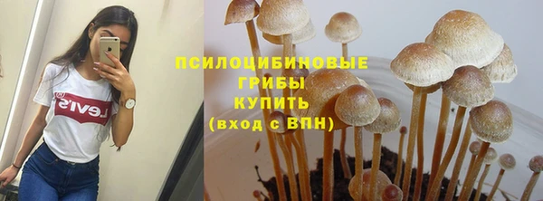 марки nbome Бородино