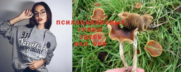 дурь Бугульма