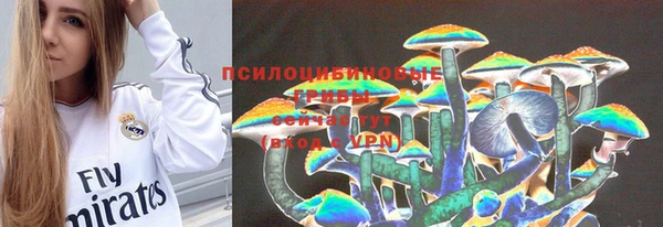 а пвп мука Бронницы