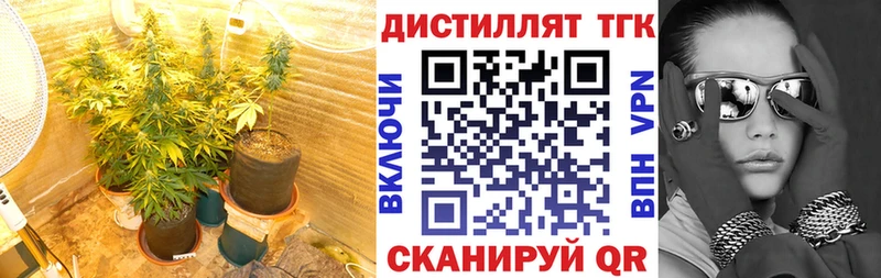 ТГК THC oil  Выборг 