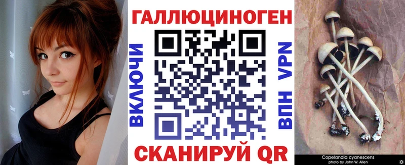Псилоцибиновые грибы прущие грибы  Выборг 